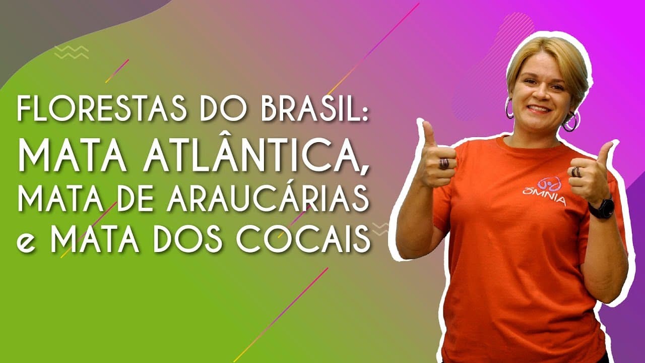 Thumbnail: Floresta do Brasil: Mata Atlântica, Mata de Araucárias e Mata dos Cocais - Brasil Escola