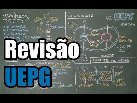 Thumbnail da aula: Revisão UEPG - Vestibular de Verão 2017