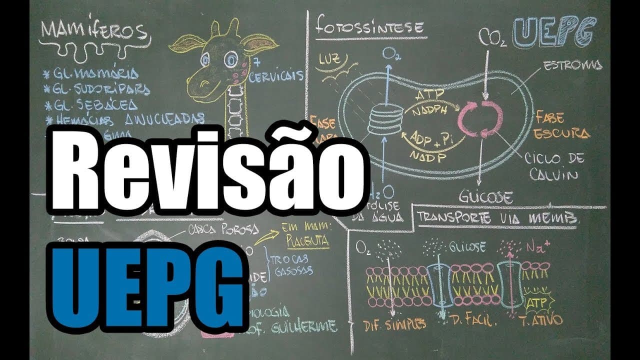 Thumbnail: Revisão UEPG - Vestibular de Verão 2017
