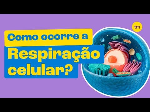 Thumbnail da aula: RESPIRAÇÃO CELULAR - A Energia das Células
