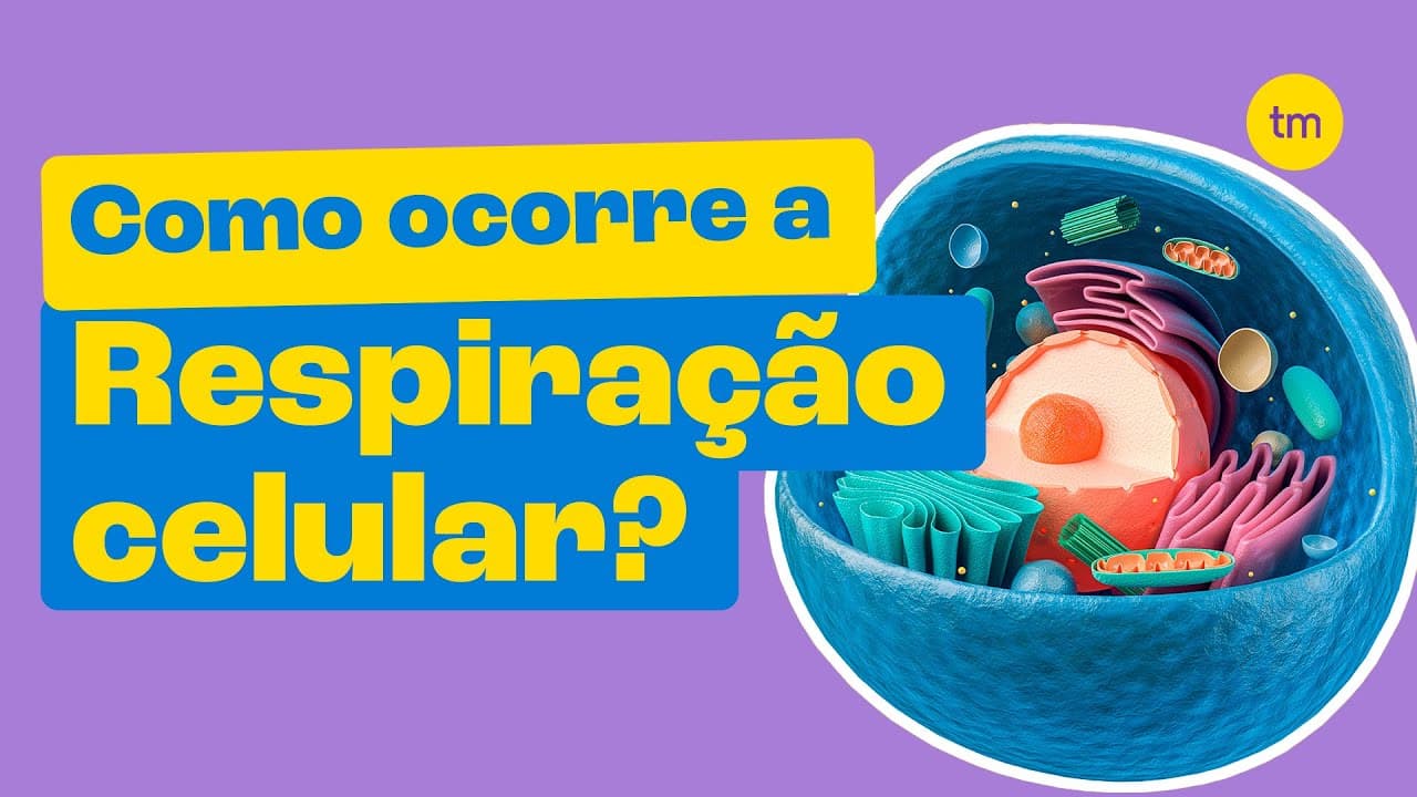 Thumbnail: RESPIRAÇÃO CELULAR - A Energia das Células
