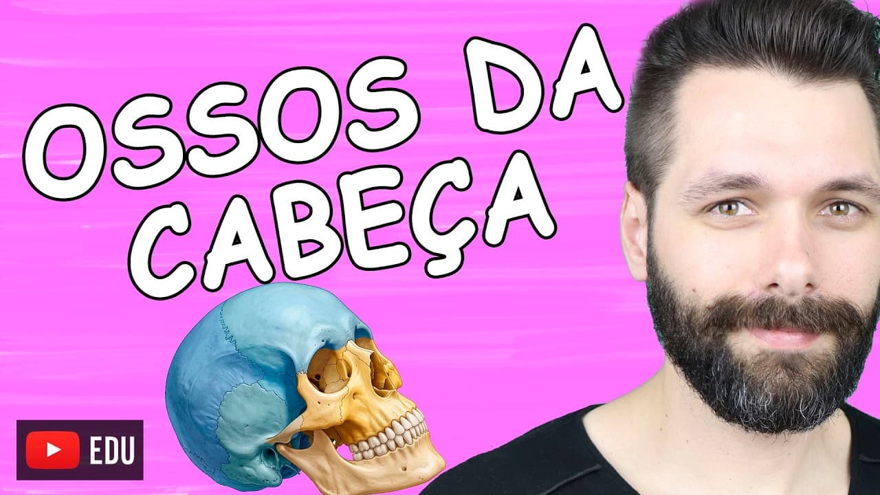 Thumbnail: OSSOS DA CABEÇA - Crânio e Face - Sistema Esquelético | Biologia com Samuel Cunha