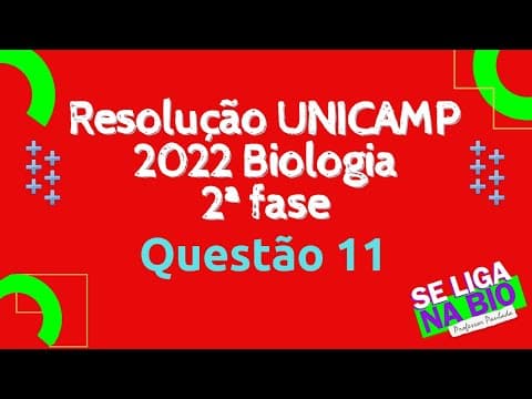 Thumbnail da aula: UNICAMP 2ª Fase 2022 Questão 11 - Prof. Paulada