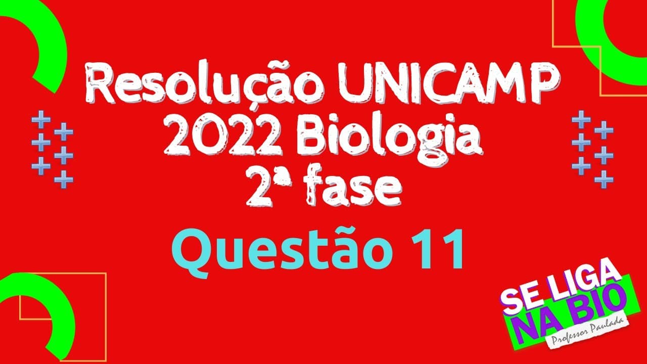 Thumbnail: UNICAMP 2ª Fase 2022 Questão 11 - Prof. Paulada