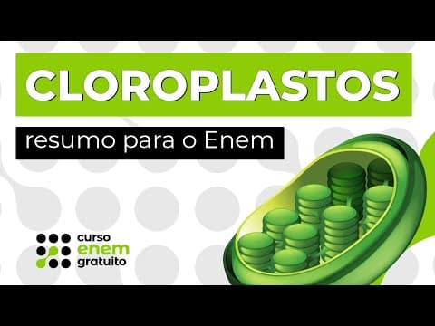Thumbnail da aula: CLOROPLASTOS: resumo para o Enem | Biologia | Claudia Aguiar