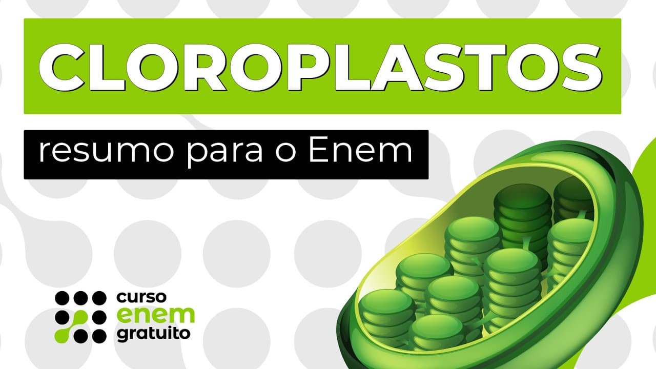 Thumbnail: CLOROPLASTOS: resumo para o Enem | Biologia | Claudia Aguiar
