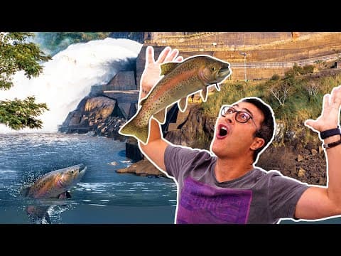 Thumbnail da aula: Cai no ENEM | PIRACEMA