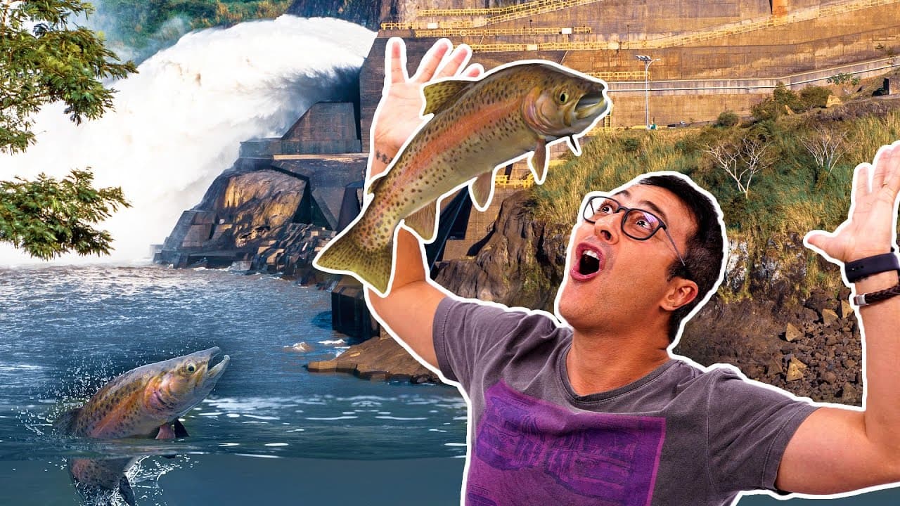 Thumbnail: Cai no ENEM | PIRACEMA