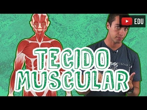 Thumbnail da aula: Aula Biologia - Histologia - Tecido Muscular para o Enem e Vestibulares - STOODI