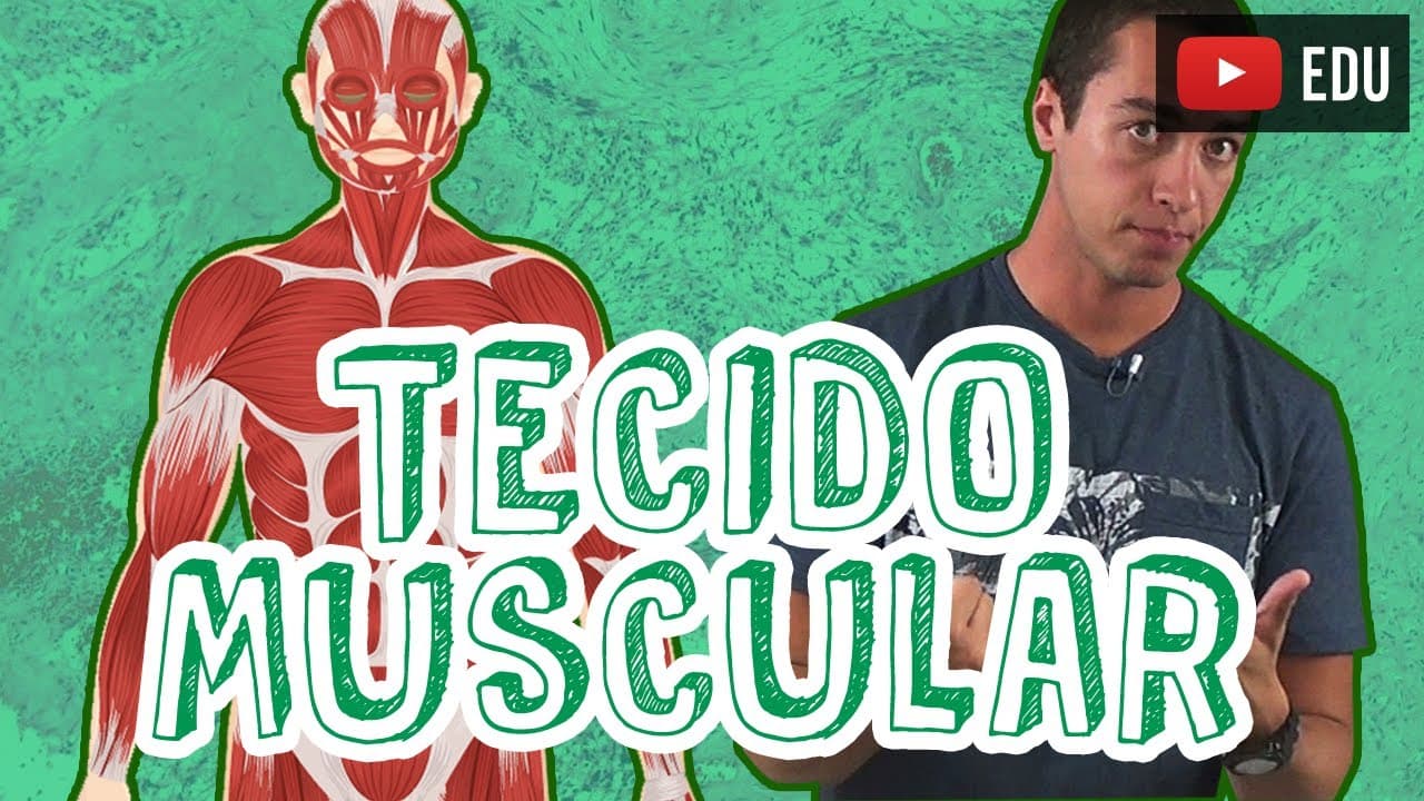 Thumbnail: Aula Biologia - Histologia - Tecido Muscular para o Enem e Vestibulares - STOODI