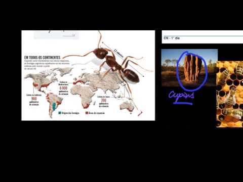 Thumbnail da aula: ENEM 2009 Cancelada q 1 - 4 Ciências da Natureza #1