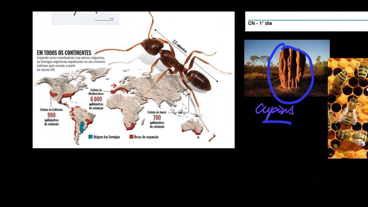 Thumbnail: ENEM 2009 Cancelada q 1 - 4 Ciências da Natureza #1