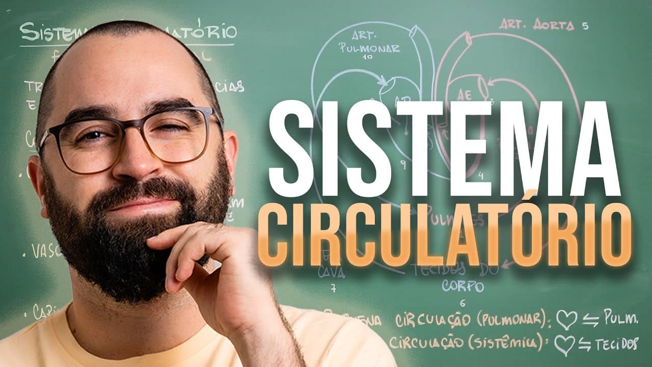Thumbnail: Sistema circulatório: Circulação sanguínea - Aula 24 - Módulo 7: Fisiologia Humana