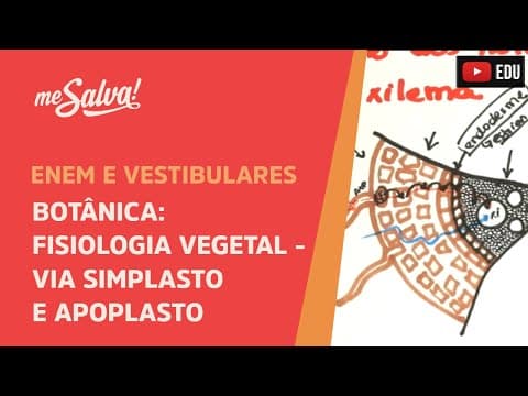 Thumbnail da aula: Me Salva! BOT24 - Botânica - Fisiologia vegetal: Via simplasto e apoplasto( caminho até o xilema )