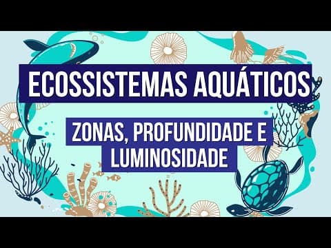 Thumbnail da aula: ECOSSISTEMAS AQUÁTICOS: zonas, profundidade e luminosidade | Biologia para o Enem | Cláudia Aguiar