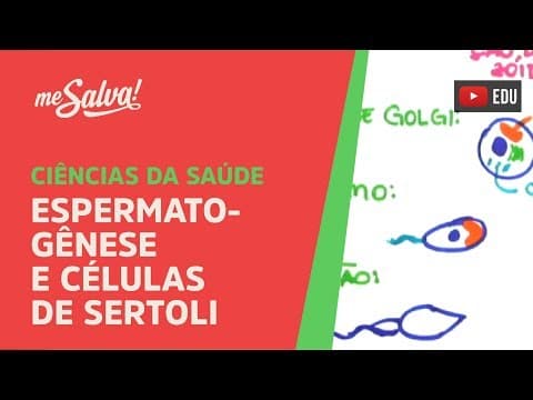 Thumbnail da aula: Me Salva! SREP02 - Espermatogênese e Células de Sertoli - Histologia Humana