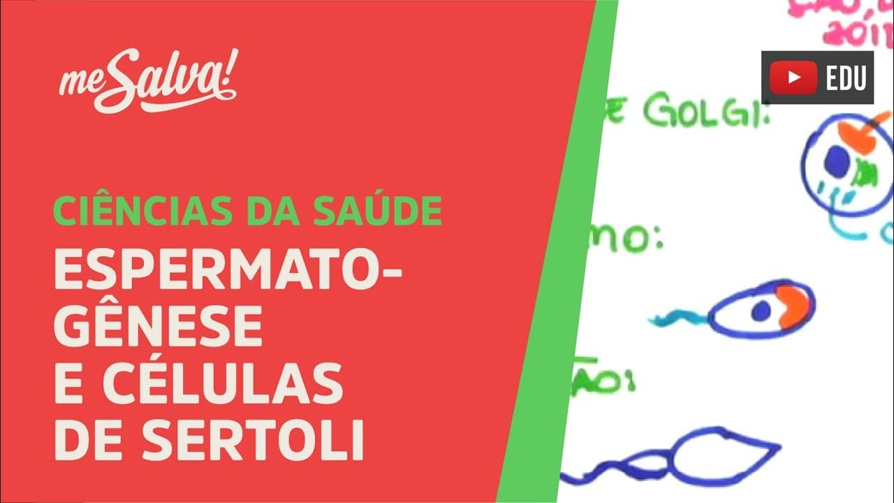 Thumbnail: Me Salva! SREP02 - Espermatogênese e Células de Sertoli - Histologia Humana