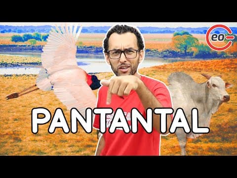 Thumbnail da aula: O que é o PANTANAL? Características | Importância |