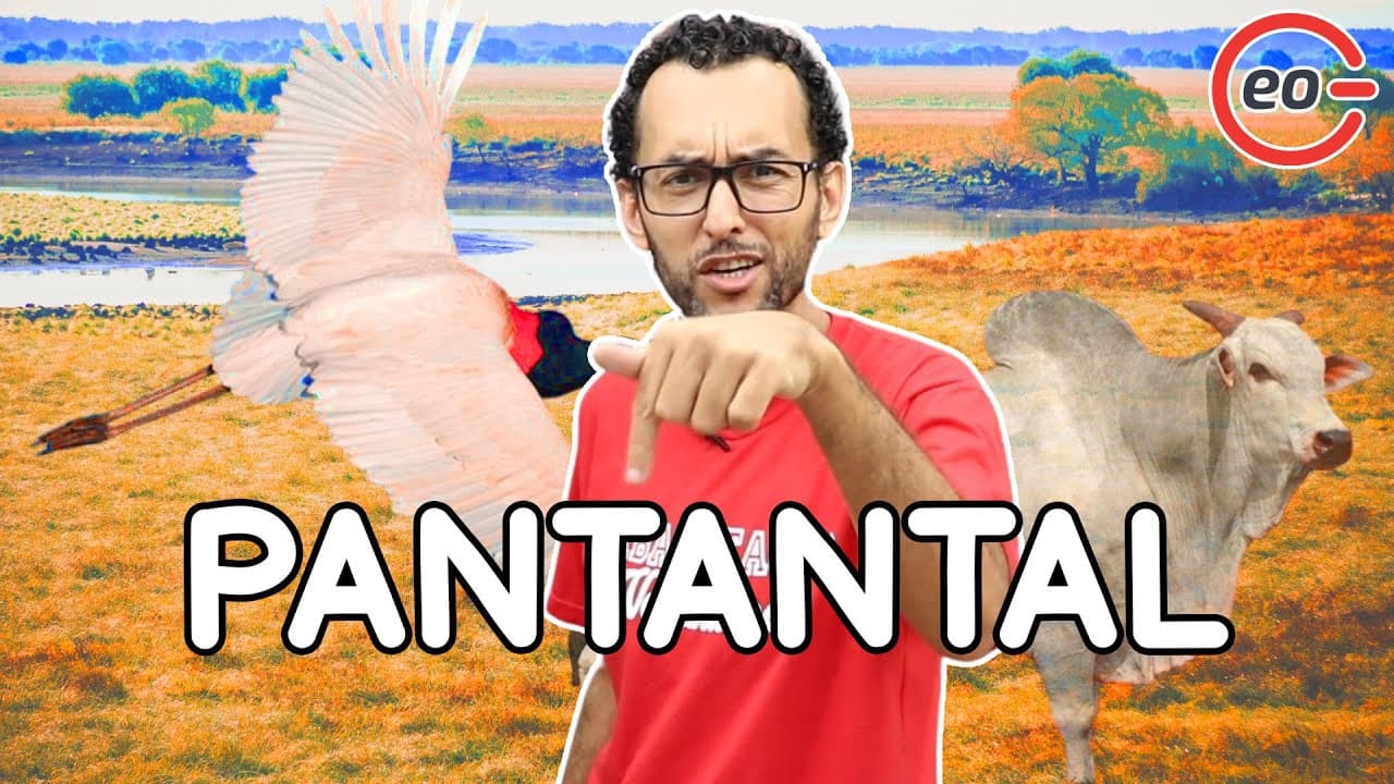 Thumbnail: O que é o PANTANAL? Características | Importância |