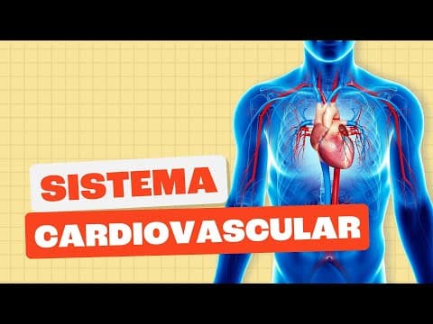 Thumbnail da aula: Sistema Cardiovascular - Toda Matéria