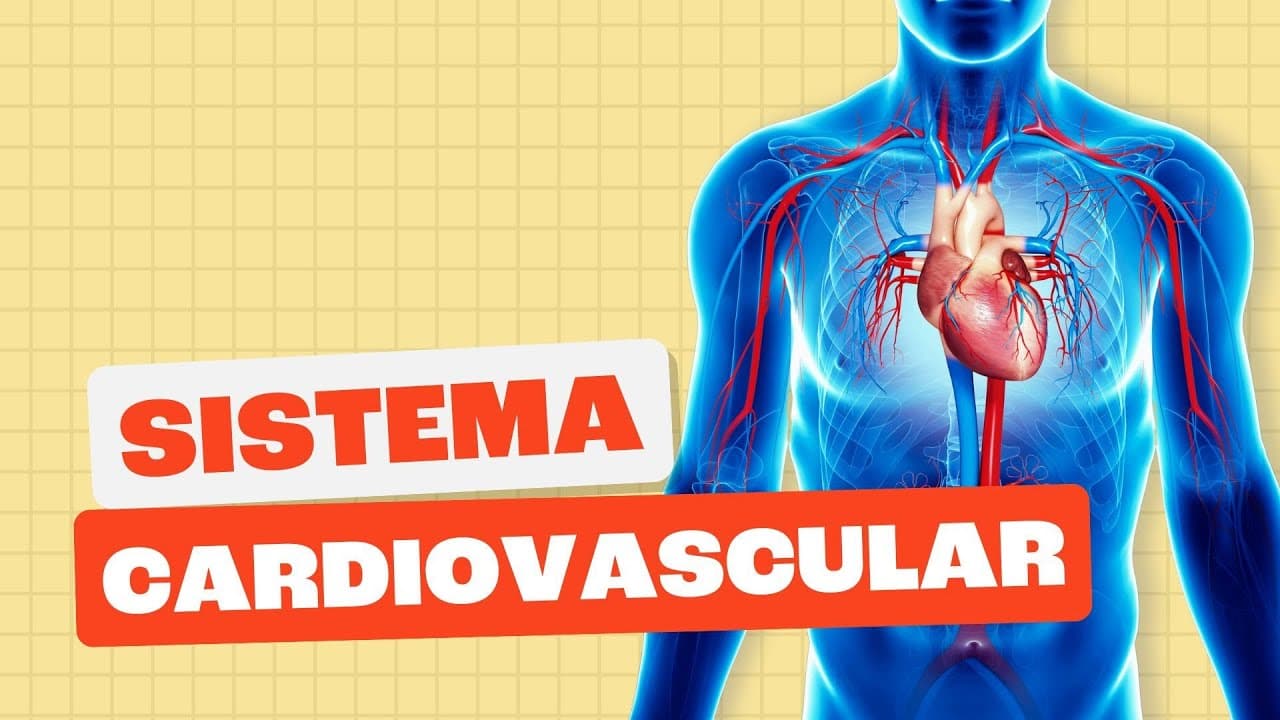 Thumbnail: Sistema Cardiovascular - Toda Matéria
