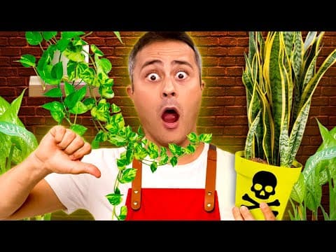 Thumbnail da aula: Plantas VENENOSAS que podem estar na sua casa