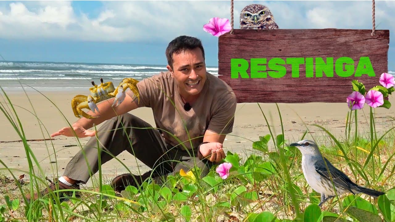 Thumbnail: Restinga | Biomas do Brasil | Ep. 14