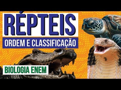 Thumbnail da aula: RÉPTEIS: ordem e classificação | Biologia para o Enem | Cláudia de Souza Aguiar