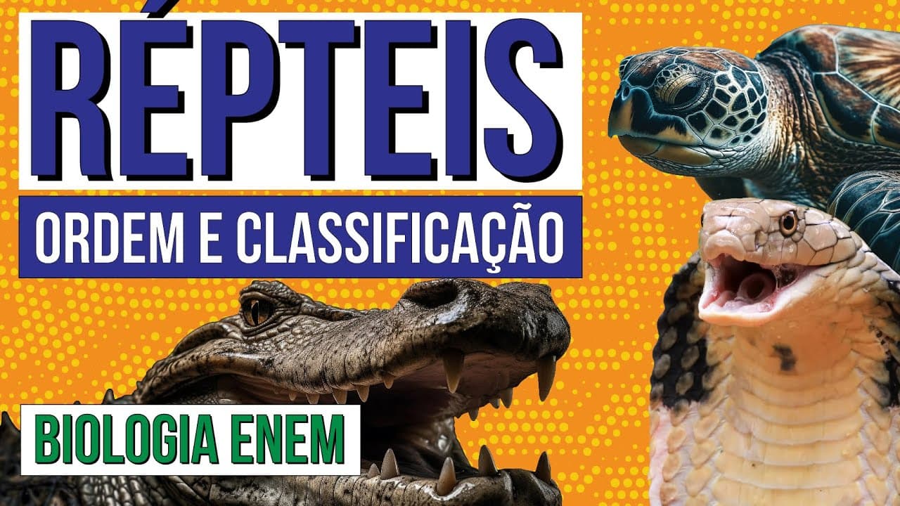 Thumbnail: RÉPTEIS: ordem e classificação | Biologia para o Enem | Cláudia de Souza Aguiar