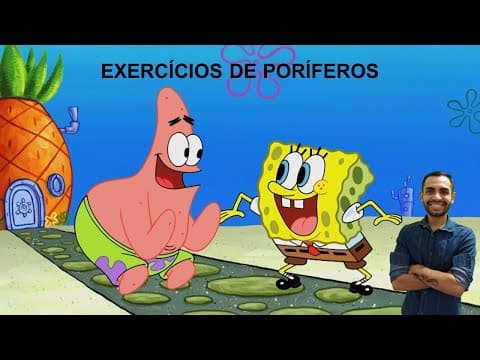 Thumbnail da aula: QUESTÃO 06 (PORÍFEROS)