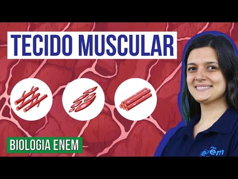 Thumbnail da aula: TECIDO MUSCULAR: Tipos, características e funções | Resumo de Biologia para o Enem