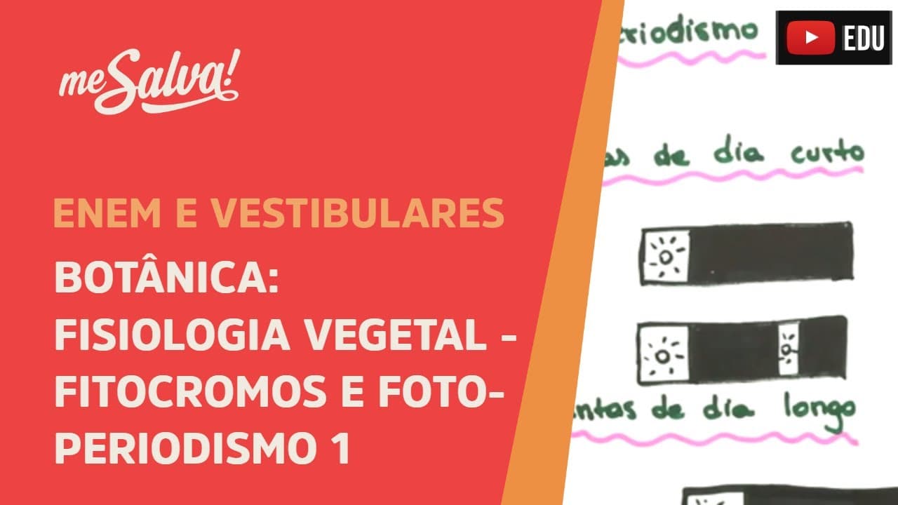 Thumbnail: Me Salva! BOT34 - Botânica - Fisiologia vegetal: fitocromos e fotoperiodismo I