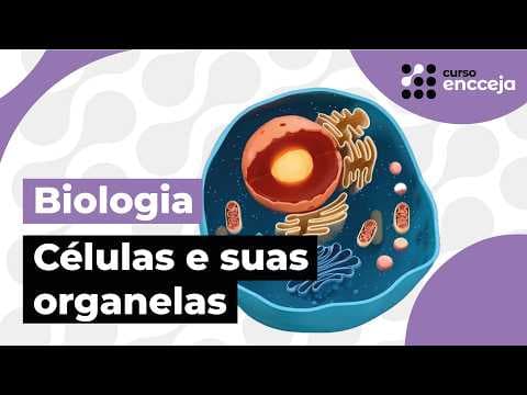 Thumbnail da aula: AS CÉLULAS E SUAS ORGANELAS | RESUMO DE BIOLOGIA PARA O ENCCEJA
