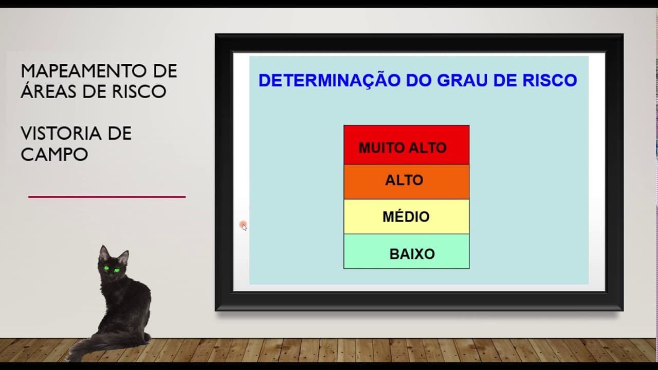 Thumbnail: Mapeamento de áreas de risco -Vistoria de Campo - Profa Maria Giovana Parisi. IGC-UFMG