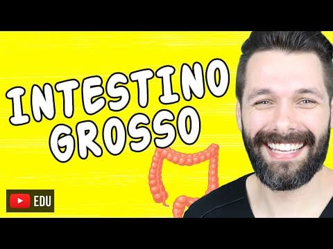 Thumbnail da aula: INTESTINO GROSSO - Anatomia e Funções | Biologia com Samuel Cunha