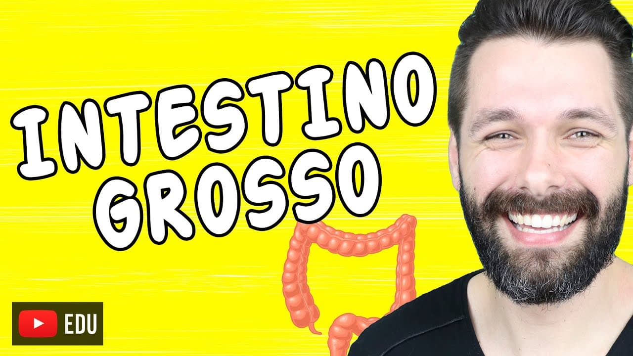 Thumbnail: INTESTINO GROSSO - Anatomia e Funções | Biologia com Samuel Cunha