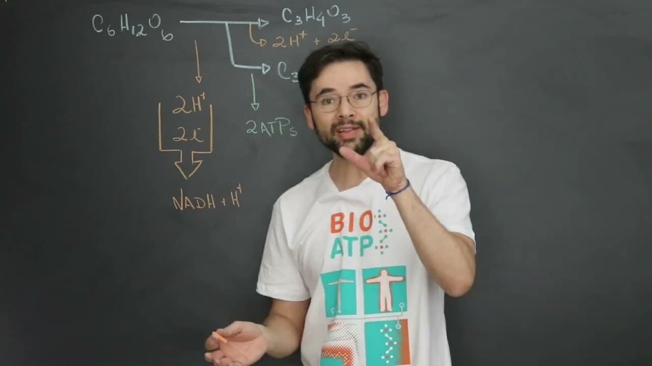 Thumbnail: O objetivo da fermentação não é produzir 2 ATPs