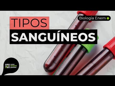 Thumbnail da aula: TIPOS SANGUÍNEOS DO SISTEMA ABO DE CLASSIFICAÇÃO | Resumo de Biologia para o Enem