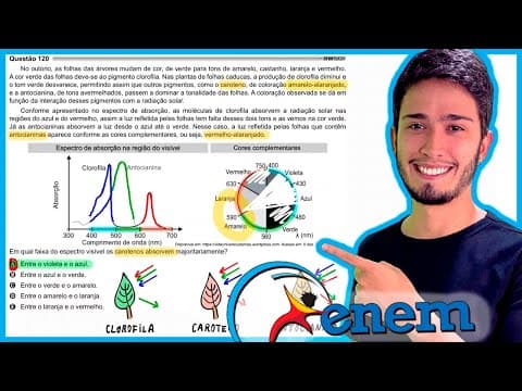 Thumbnail da aula: ENEM 2021 - No outono, as folhas das árvores mudam de cor, de verde para tons de amarelo, castanho,