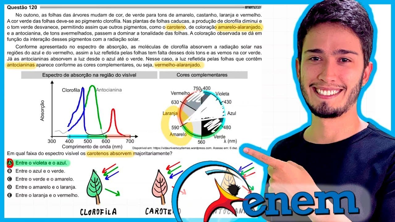 Thumbnail: ENEM 2021 - No outono, as folhas das árvores mudam de cor, de verde para tons de amarelo, castanho,