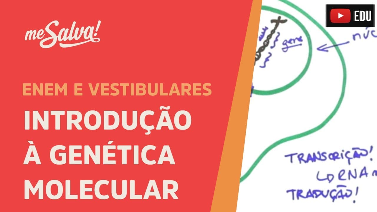Thumbnail: Me Salva! GEN01 - Genética - Introdução à genética molecular