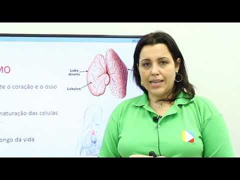 Thumbnail da aula: Biologia - Sistema Endócrino: Timo e Pineal