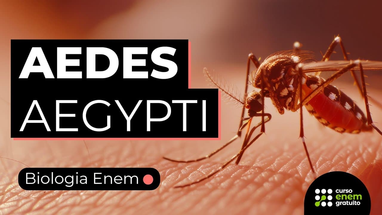 Thumbnail: A DENGUE E O AEDES AEGYPTI | DOENÇAS TRANSMITIDAS PELO MOSQUITO | BIOLOGIA