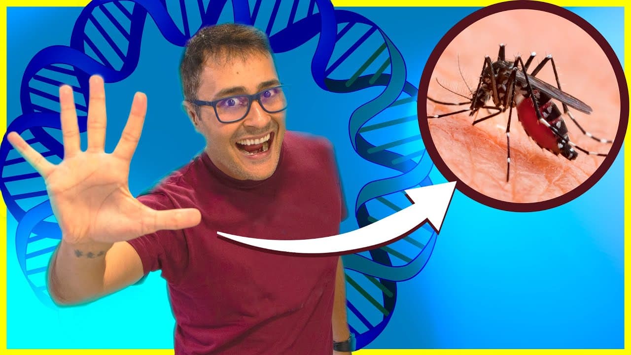 Thumbnail: Os 5 assuntos de BIOLOGIA que mais caem no ENEM