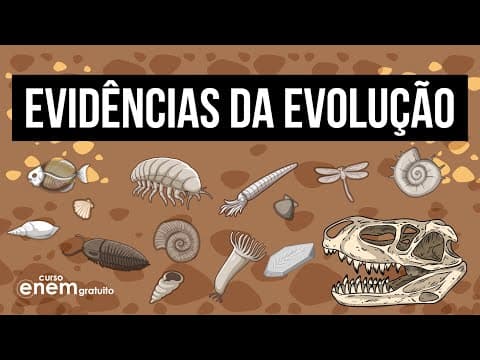 Thumbnail da aula: EVIDÊNCIAS DA EVOLUÇÃO: o que e quais são os tipos de fossilização | RESUMO DE BIOLOGIA PARA O ENEM