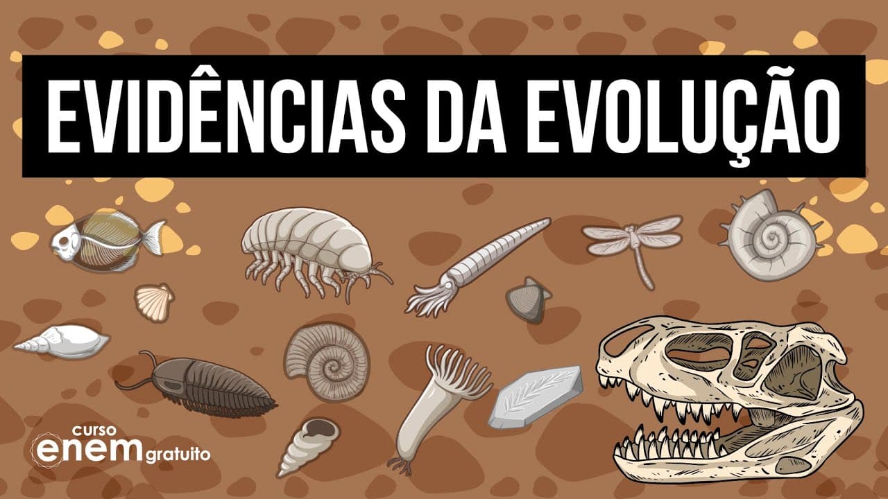 Thumbnail: EVIDÊNCIAS DA EVOLUÇÃO: o que e quais são os tipos de fossilização | RESUMO DE BIOLOGIA PARA O ENEM