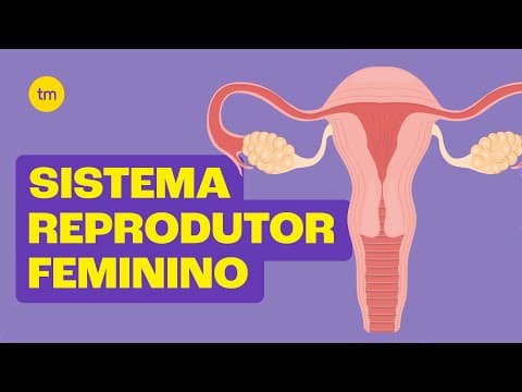 Thumbnail da aula: Sistema Reprodutor Feminino | Resumo Toda Matéria