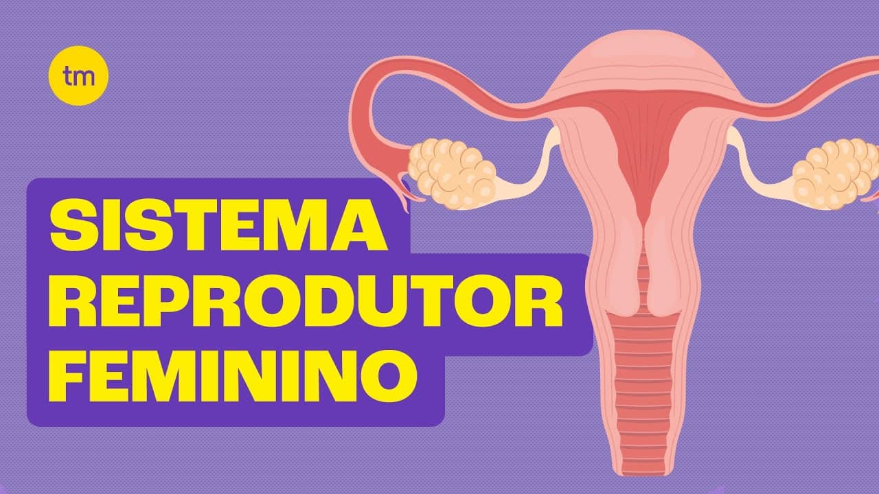 Thumbnail: Sistema Reprodutor Feminino | Resumo Toda Matéria
