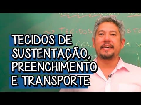 Thumbnail da aula: REINO PLANTAE | Briófitas e Pteridófitas: Características gerais e reprodução