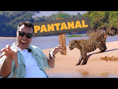 Thumbnail da aula: Pantanal | Biomas do Brasil | Ep.2